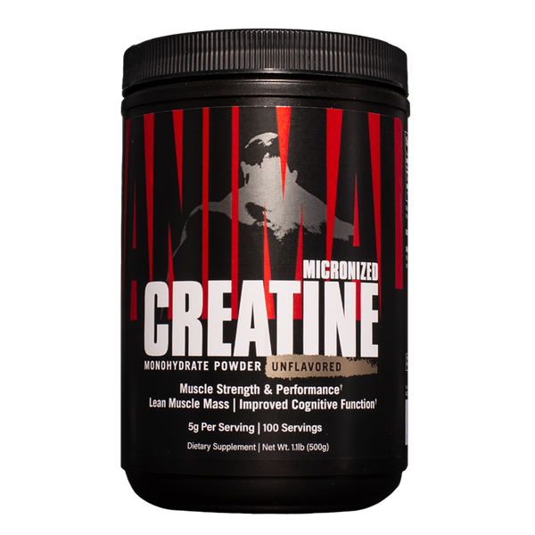 Animal Creatine Powder 500g - Creatine Powder at MySupplementShop by Animal