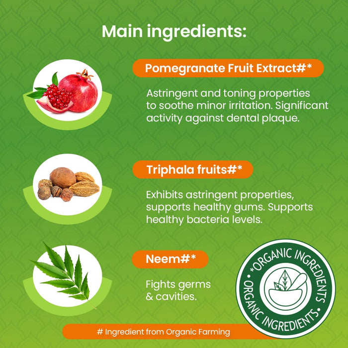 Himalaya Neem & Pomegranate Toothpaste - 75 ml.