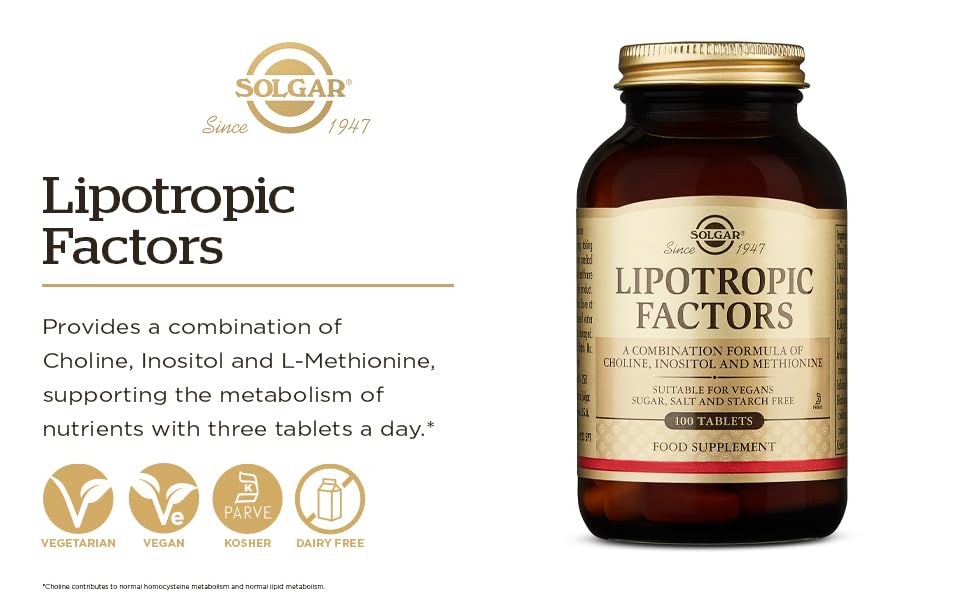 Solgar Lipotropic Factor 20x100 TAB