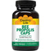 Country Life Bee Propolis 500mg 100 Vegetarian Capsules - Other at MySupplementShop by Country Life