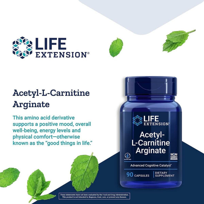 Life Extension Acetyl-L-Carnitine Arginate 90 Capsules - Acetyl-L-Carnitine at MySupplementShop by Life Extension