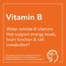 NOW Foods Vitamin B-6 (Pyridoxine HCl) 100 mg 250 Veg Capsules - Vitamins & Minerals at MySupplementShop by NOW Foods