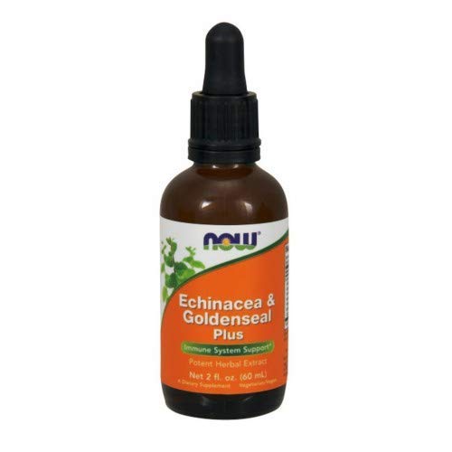 NOW Foods Echinacea & Goldenseal Plus - 60 ml. - Health and Wellbeing at MySupplementShop by NOW Foods