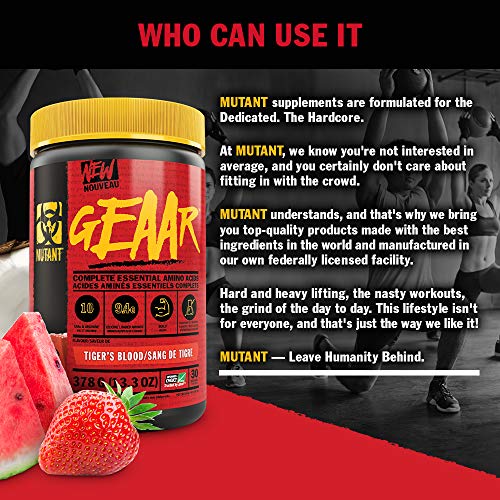 MUTANT GEAAR EAA & BCAA Powder - Tasty, 30 Servings - Amino Acids and BCAAs at MySupplementShop by Mutant