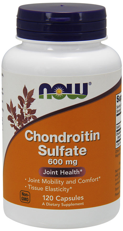 NOW Foods Chondroitin Sulfate, 600mg - 120 caps - Joint Support at MySupplementShop by NOW Foods